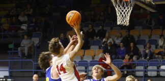 COUNTY BASKETBALL TOURNAMENT: Vinemont advances to JV Semifinals with 50-31 win over Cold Springs