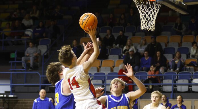COUNTY BASKETBALL TOURNAMENT: Vinemont advances to JV Semifinals with 50-31 win over Cold Springs