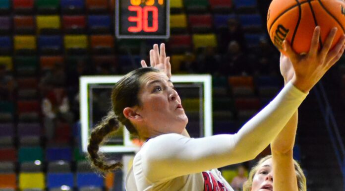 PREP BASKETBALL: No. 2 Good Hope edges No. 4 Vestavia Hills 48-42