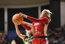 COUNTY BASKETBALL TOURNAMENT: Vinemont takes 41-38 thriller over Holly Pond to advance to semifinals
