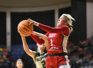 COUNTY BASKETBALL TOURNAMENT: Vinemont takes 41-38 thriller over Holly Pond to advance to semifinals
