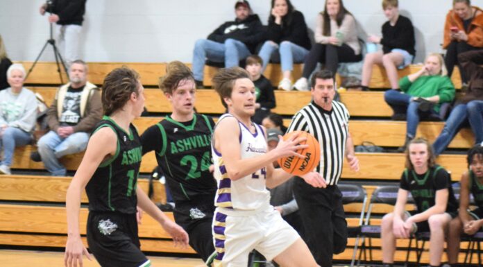 PREP BASKETBALL: Hanceville Bulldogs, Lady Bulldogs earn area wins over Ashville