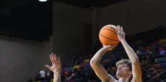 COUNTY BASKETBALL TOURNAMENT: Raiders pull away to top Fairview 58-42, advance to county finals