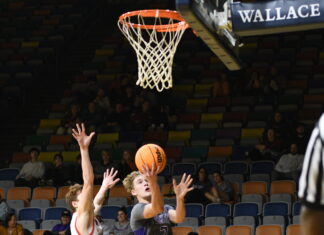 COUNTY BASKETBALL TOURNAMENT: Fairview punches ticket to semifinals with 64-44 win over Vinemont