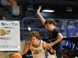 COUNTY BASKETBALL TOURNAMENT: West Point advances to county finals with 51-44 win over Holly Pond