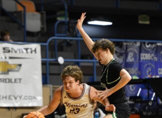 COUNTY BASKETBALL TOURNAMENT: West Point advances to county finals with 51-44 win over Holly Pond