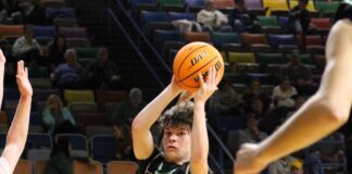 COUNTY BASKETBALL TOURNAMENT: Holly Pond advances to semifinals with 62-59 OT win over Hanceville