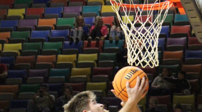 COUNTY BASKETBALL TOURNAMENT: Fairview advances to JV Boys finals with 47-34 win over Vinemont