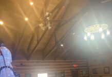 Vinemont senior lunch to be held Jan. 15