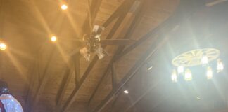 Vinemont senior lunch to be held Jan. 15