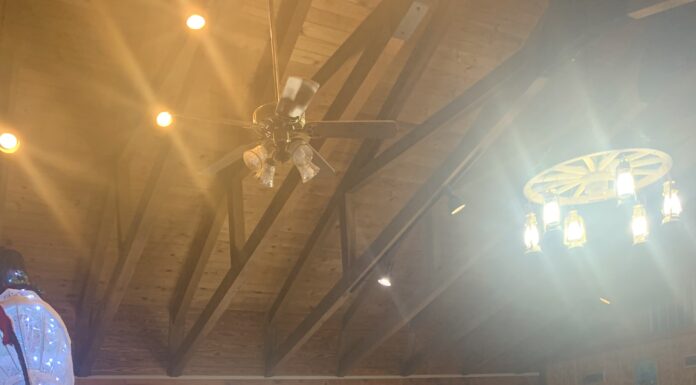 Vinemont senior lunch to be held Jan. 15