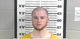 Holly Pond man charged with possession, dissemination of child pornography Jacob “Jake” Harris (Cullman County Sheriff’s Office)