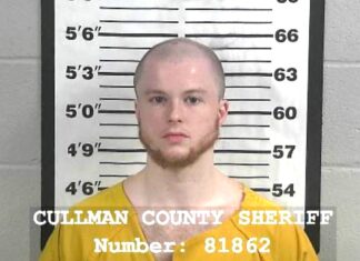 Holly Pond man charged with possession, dissemination of child pornography Jacob “Jake” Harris (Cullman County Sheriff’s Office)
