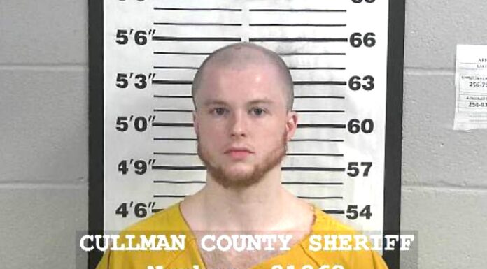 Holly Pond man charged with possession, dissemination of child pornography Jacob “Jake” Harris (Cullman County Sheriff’s Office)