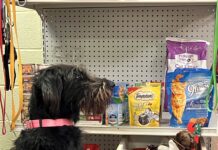 SPOTLIGHT: Cullman County Animal Shelter