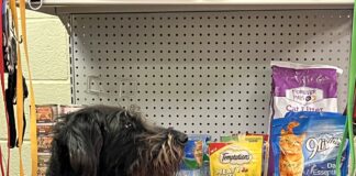 SPOTLIGHT: Cullman County Animal Shelter