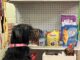 SPOTLIGHT: Cullman County Animal Shelter