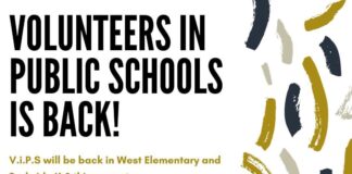 Link brings back V.i.P.S. mentorship program