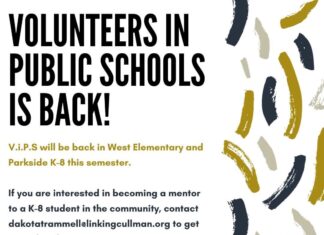 Link brings back V.i.P.S. mentorship program