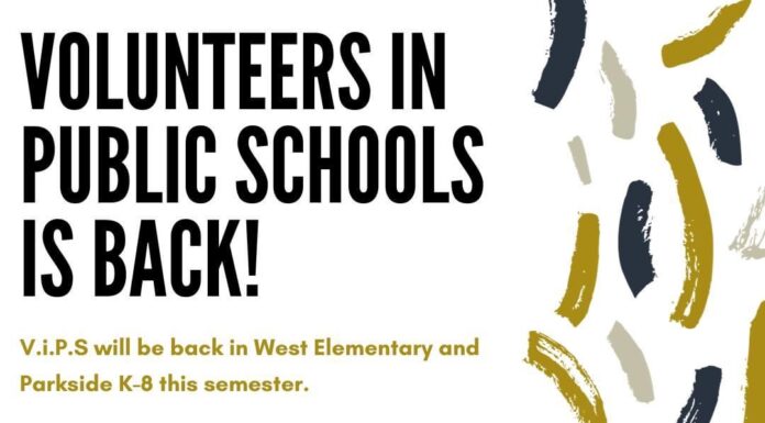 Link brings back V.i.P.S. mentorship program