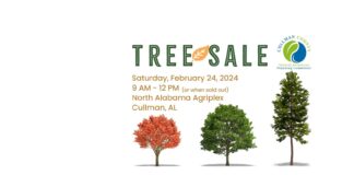 Tree sale coming to Agriplex Feb. 24