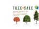 Tree sale coming to Agriplex Feb. 24