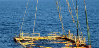 ADCRN’s Blankenship testifies before House Committee about impact of GOMESA funds