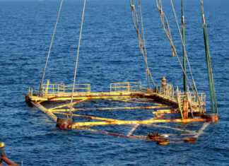 ADCRN’s Blankenship testifies before House Committee about impact of GOMESA funds