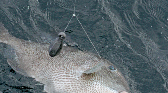 Marine Resources asks anglers for help with fishing effort survey