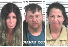 CCSO arrest roundup