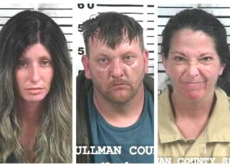 CCSO arrest roundup