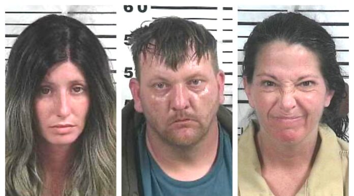 CCSO arrest roundup
