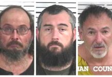 CCSO arrest roundup