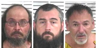 CCSO arrest roundup