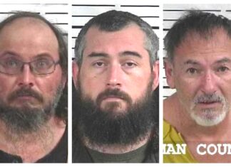 CCSO arrest roundup