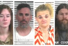 CCSO arrest roundup