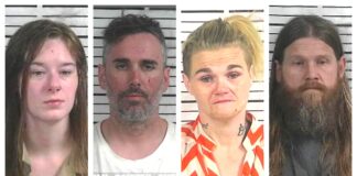 CCSO arrest roundup