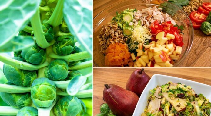 Garden and garnish with Alabama Extension’s Harvest of the Month