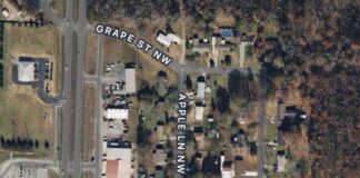 Zoning approvals pave way for new housing developments in Cullman