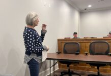 Baileyton council votes to construct Little Free Library