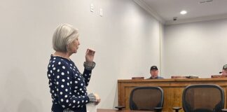 Baileyton council votes to construct Little Free Library