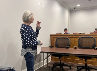 Baileyton council votes to construct Little Free Library