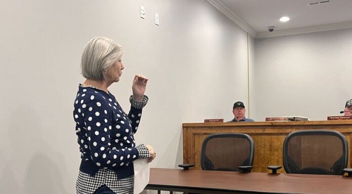 Baileyton council votes to construct Little Free Library