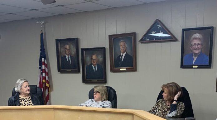 Town of South Vinemont set to create planning commission