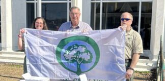 Cullman celebrates 36 years as Tree City USA