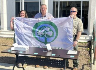 Cullman celebrates 36 years as Tree City USA