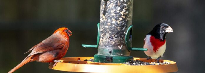 49778043828_7f918df20b_4k-scaled