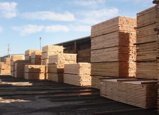 ACES: Alabama timber market trending upward after rocky year
