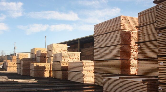 ACES: Alabama timber market trending upward after rocky year