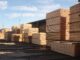 ACES: Alabama timber market trending upward after rocky year